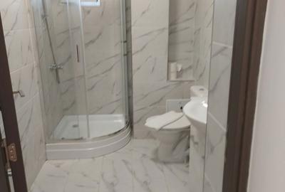 Apartament cu 2 camere decomandat în Paltin - 7