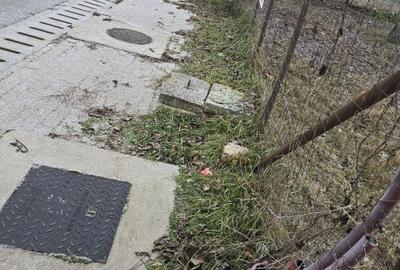 Teren de 1243 mp, în Lancrăm - 3