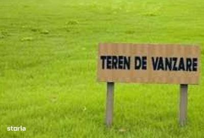 Spațiu comercial, în Câmpenești - 3