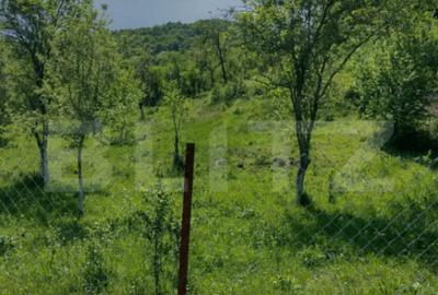 Teren în Stremț - 3