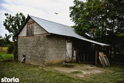 Casă cu Teren 3596 Mp în Pișchia - 2