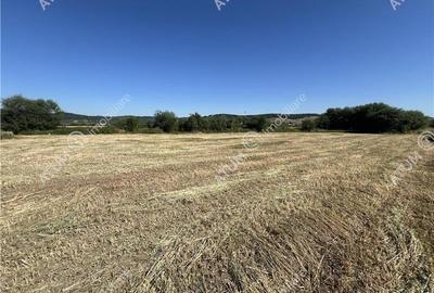 Teren intravilan de 543 mp cu PUZ constructie duplex in Cristian - 6