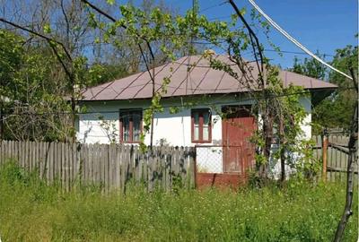 Casă cu 3 camere cu Teren 5000 Mp în Mozăceni - 4