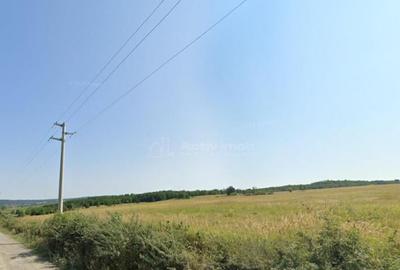 Forotic, Teren Drept Pentru Investitie, 13.2 Hectare (132.00 - 4