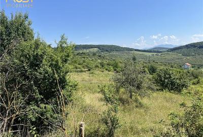 Teren de vanzare Dealul Dumitrei 1000 mp - 2