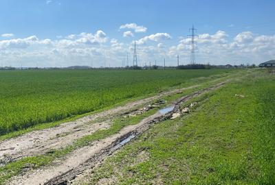 Teren Construcții intravilan de 5808 mp, în Săbăreni - 23