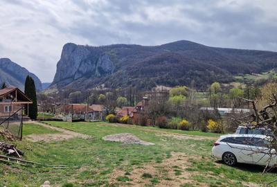 Teren de 1000 mp, în Vălișoara - 6