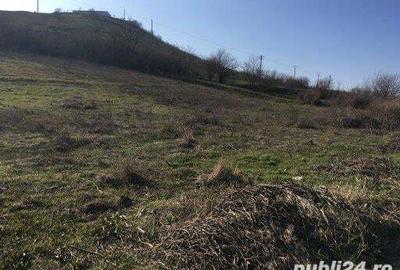 Teren de 3000 mp, în Mahmudia - 4