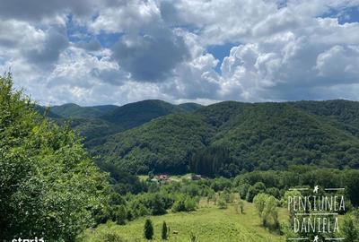 Casă cu 4 camere cu Teren 6000 Mp în Vața de Jos - 1