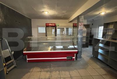 Casă cu 4 camere cu Teren 462 Mp în Brestei - 15