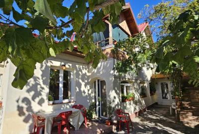 Casa curte- Metrou Pieptanari - 2