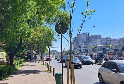 Spatiu comercial de inchiriat Soseaua Virtutii 4 - 2