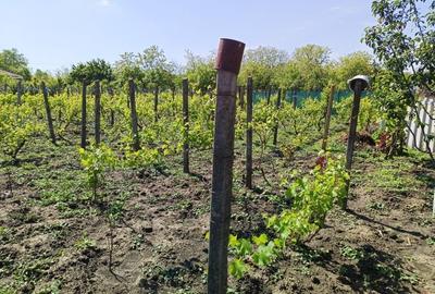 Casă cu 4 camere în Libertatea - 2