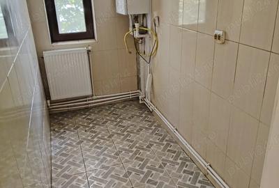 Vand apartament 3 camere Vasile Parvan - 10