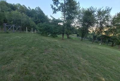 Casa tradi?ionala de vanzare cu 3600 mp - 6