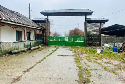 Teren investiție, de 90,000 mp, în Dridu - 2