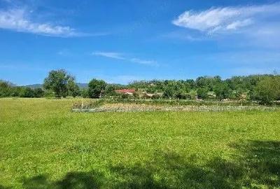 Teren extravilan arabil Tisau, ID: R2590475 - 2