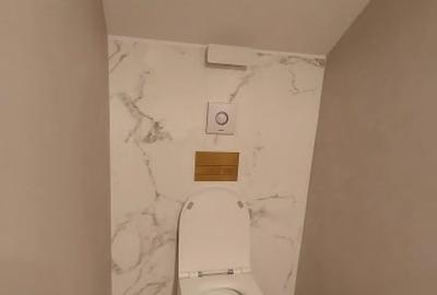 De inchiriat vila in zona Gradina Icoanei - 18