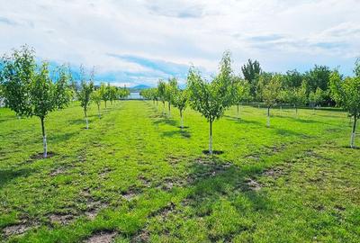 Complex turistic cu restaurant,spatiu de cazare si agrement,com Girov Complex turistic cu restaurant,spatiu de cazare si agrement,com Girov - 18
