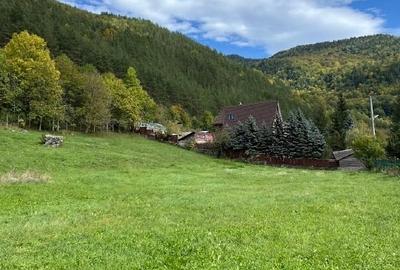 Teren intravilan de 3290 mp, în Lepșa - 2