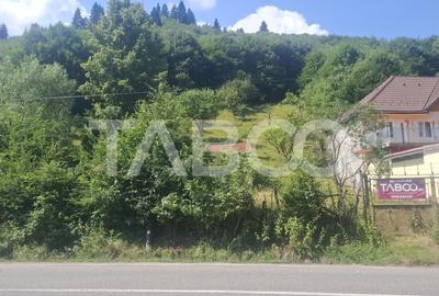 Teren 2500 mp la drum pe Valea Stezii Curmatura Rasinari - 7