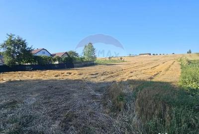 Teren de 7500 mp, în Moara - 13