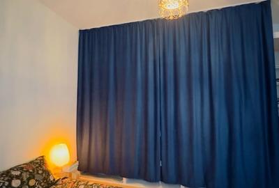 Apartament cu 2 camere decomandat în Iosefin - 3