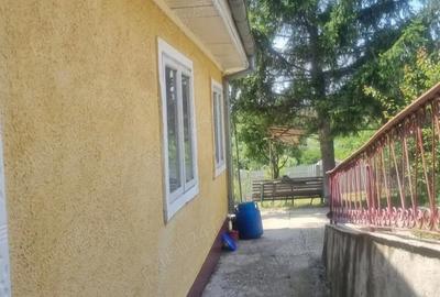 Casă cu 5 camere cu Teren 4500 Mp în Laza - 5