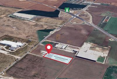 Hala depozitare – productie, Popesti Leordeni, DNCB, Autostrada A0 - 4