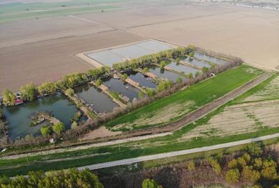 Teren de 80000 mp, în Grindu - 1