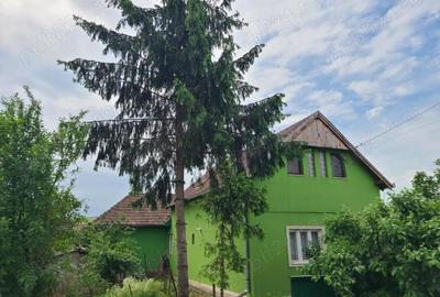Casă cu Teren 1000 Mp în Central - 8
