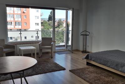 Apartament 1 camera de inchiriat Str. Dorobantilor - 3