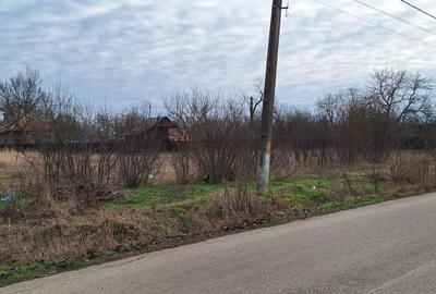 Teren de 2433 mp, în Sericu - 3