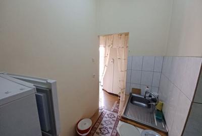 Apartament 2 camere, parcare, curte comuna, zona Urania, Centru Apartament 2 camere, parcare, curte comuna, zona Urania, Centru - 3