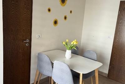 Apartament cu 2 camere decomandat, mobilat în Complex Studențesc - 10
