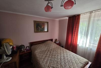 Casa 127 mp + teren 1800 mp, foisor si iaz - Dragasani - 7