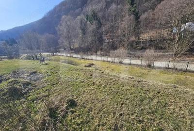 Casă cu 6 camere cu Teren 4159 Mp în Central - 6