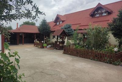 Casă individuală cu 6 camere în Sânandrei
