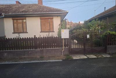 Casa de vanzare Ineu, jud. Arad - 1