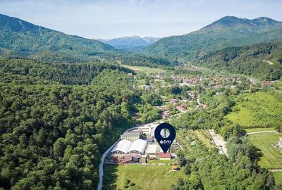 Suprafata generoasa teren - 3