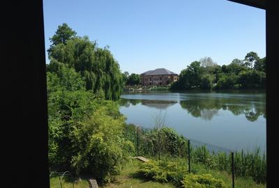Mogosoaia,vila robusta cu vedere spectaculoasa catre lac,palat,parc,1750mp teren - 27