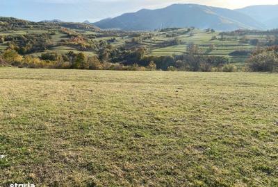 Teren de 972 mp, în Gura Râului - 3