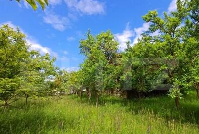 Casa 3 camere si teren 4873 mp in Pietroasa, Moldovenesti - 5