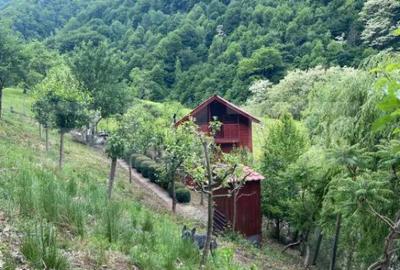 Casă cu 3 camere cu Teren 1470 Mp în Șugag - 6