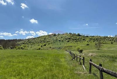 Teren de 659000 mp, în Copșa Mică - 14