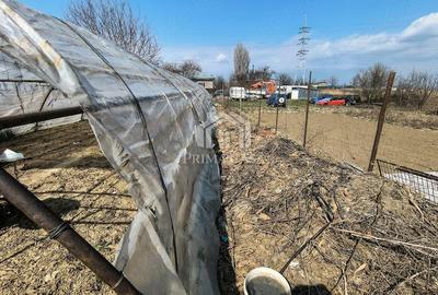 Casă cu Teren 1270 Mp în Transilvaniei - 6