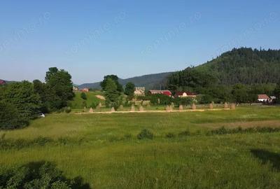 Teren de 10304 mp, în Slatina - 11