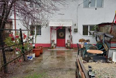 Casă cu Teren 4000 Mp în Radomirești - 10