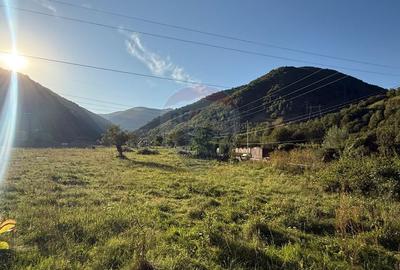 Casa de vacanta pe Valea Lotrioarei in cadru de vis - 5