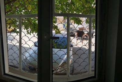 Garsonieră în Vest - 1